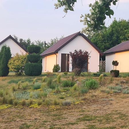 Nadmorskie Slonce Lubin  Exterior foto